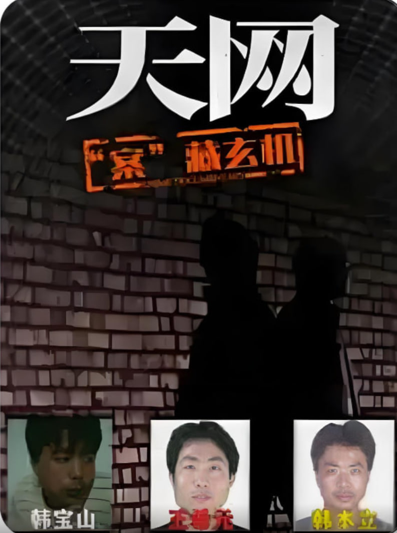 天网：&ldquo;案&rdquo;藏玄机